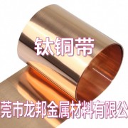 沈阳NKT322-SH钛铜带