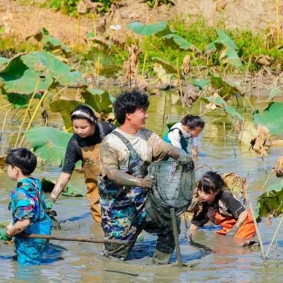 苏州研学基地趣味挖藕三六六社会实践邀你共赴田野体验探秘之旅