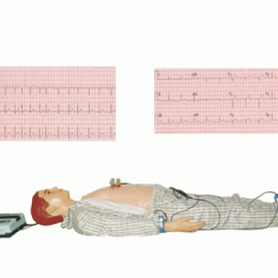 KAY-XD/I多种心电图电脑模拟人