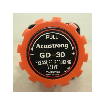 阿姆斯壮Armstrong阀门GD30减压阀 上海