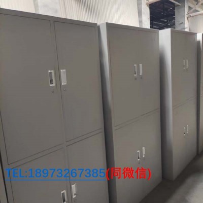 湘潭铁皮文件柜 钢制文件柜 保密文件柜 储物柜厂家