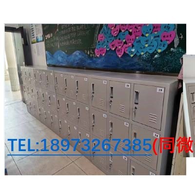 湘潭书包柜 学校教室收纳铁皮矮柜工厂订制中湘潭汉风