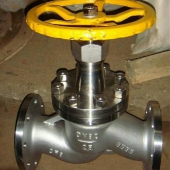 不锈钢升降式止回阀 不锈钢止回阀