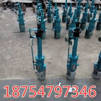 DTZ式电动推杆  1000KG推力1.1KW 电厂煤矿用