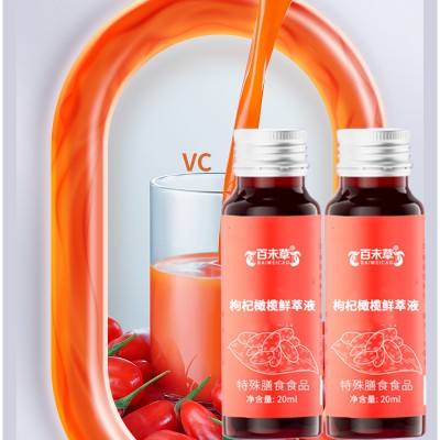 枸杞橄榄鲜萃液特殊膳食食品贴牌代加工生产厂家山东