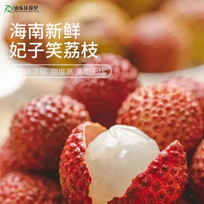 荔枝果酒oem生产地