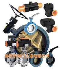 保证正品德国依博罗EBRO支耳式涡轮蝶阀Z014-A