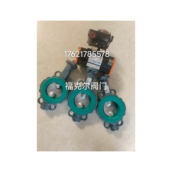 德国依博罗(EBRO)气动衬胶蝶阀Z011-A