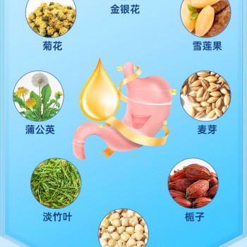 金银花颗粒固体饮料贴牌代加工生产厂家山东