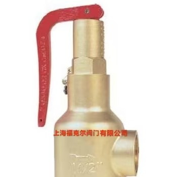 原装正品阿姆斯壮095-AP比例式安全阀