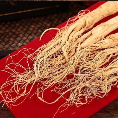 人参固体饮料代加工