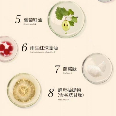 蓝莓浓缩粉固体饮料代加工生产山东