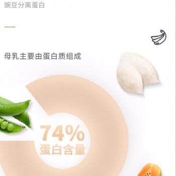 燕窝豌豆蛋白粉贴牌代加工生产厂家特膳