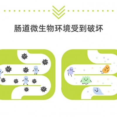 固体饮料代加工OEM/ODM生产厂家