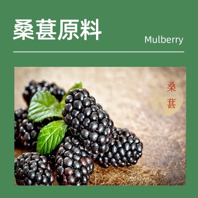 桑葚酵素植物饮品定制代加工OEM生产厂家山东庆葆堂