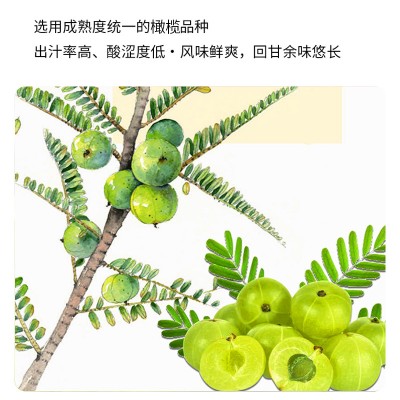 橄清茉莉花滇橄榄汁贴牌定制代加工OEM山东庆葆堂