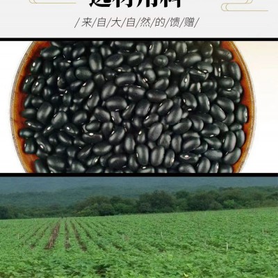 黑豆酒配制酒代加工OEM生产厂家