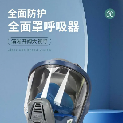 MSA/梅思安 10147997 3100全面罩呼吸器