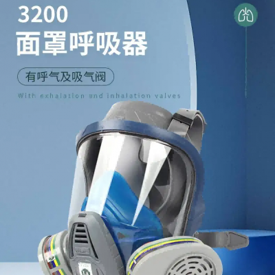 MSA/梅思安 10146344 3200面罩呼吸器