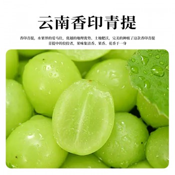 青提茉莉配制酒