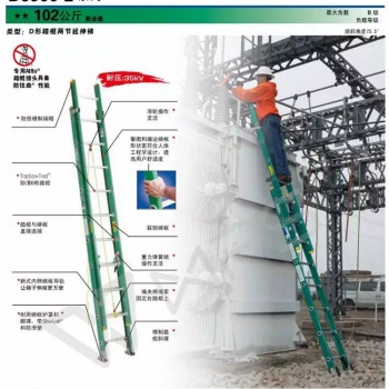 稳耐D型踏棍两节延伸梯