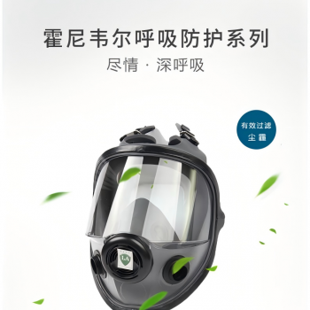霍尼韦尔54001  5000系列全面罩