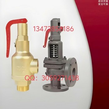 美国阿姆斯壮496-AP全启式安全阀