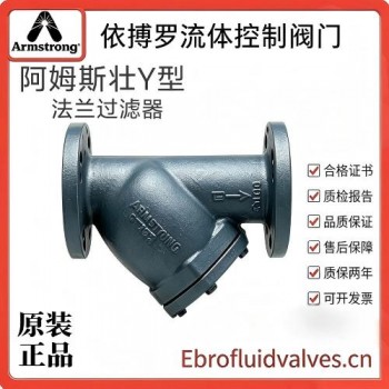 原装正品美国阿姆斯壮Y型过滤器